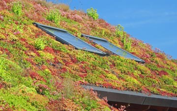 Templecombe living roof systems
